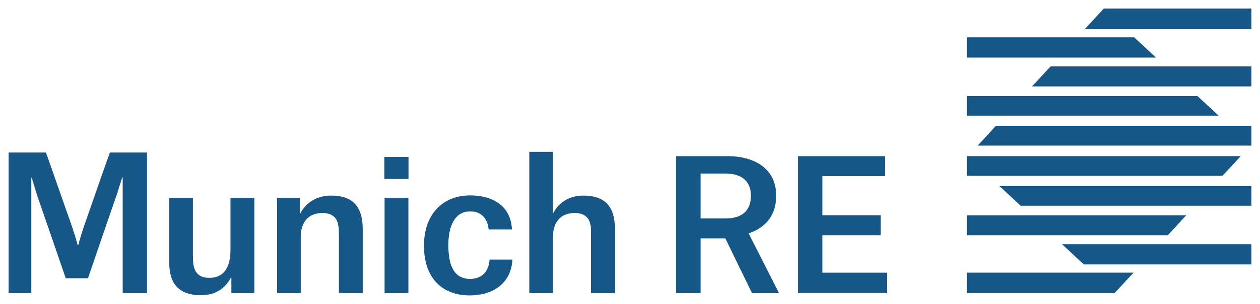 Logo munich re cliente de GFS Consulting