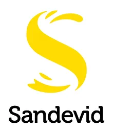 Sandevid cliente de GFS Consulting Logo sandevid cliente de GFS Consulting